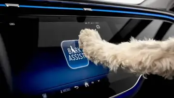 Cuando los fabricantes de coches no se olvidan del mejor amigo del hombre Cuando los fabricantes de coches no se olvidan del mejor amigo del hombre