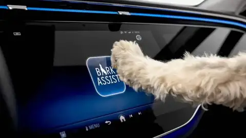 Cuando los fabricantes de coches no se olvidan del mejor amigo del hombre Cuando los fabricantes de coches no se olvidan del mejor amigo del hombre