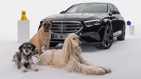 Mercedes MBUX Mercedes MBUX