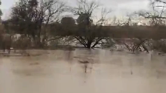El Charco de la Pava, Sevilla, anegado por las lluvias El Charco de la Pava, Sevilla, anegado por las lluvias