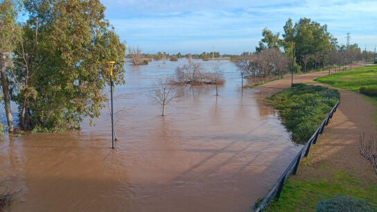 El fuerte caudal y el alto nivel del r&iacute;o Guadiana, en el que confluyen los r&iacute;os G&eacute;vora y Zapat&oacute;n, ha inundado diversos tramos de riberas en la ciudad de Badajoz, este domingo.