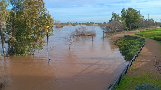 El fuerte caudal y el alto nivel del río Guadiana, en el que confluyen los ríos Gévora y Zapatón, ha inundado diversos tramos de riberas en la ciudad de Badajoz, este domingo. El fuerte caudal y el alto nivel del río Guadiana, en el que confluyen los ríos Gévora y Zapatón, ha inundado diversos tramos de riberas en la ciudad de Badajoz, este domingo.