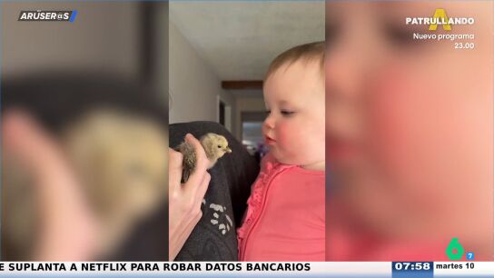 El v&iacute;deo viral del beb&eacute; que conoce al pollito y que no acaba como esperas