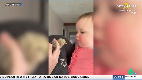 El vídeo viral del bebé que conoce al pollito y que no acaba como esperas El vídeo viral del bebé que conoce al pollito y que no acaba como esperas