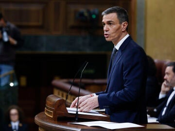 El presidente del Gobierno, Pedro S&aacute;nchez, en el Congreso para hablar sobre la crisis ferroviaria tras los accidentes de Adamuz y Gelida