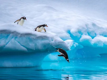 Antártida Antártida