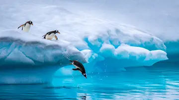 Antártida Antártida