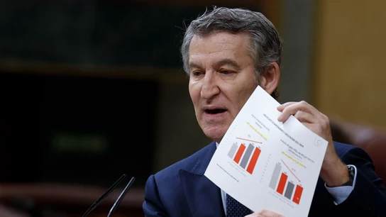 El líder del PP, Alberto Núñez Feijóo, durante el pleno en el Congreso sobre los accidentes en Adamuz y Gelida El líder del PP, Alberto Núñez Feijóo, durante el pleno en el Congreso sobre los accidentes en Adamuz y Gelida