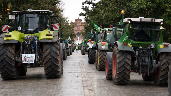magen de la tractorada por las calles de Sevilla convocada en la jornada de hoy en rechazo al acuerdo UE-Mercosur. A 10 de febrero de 2026 en Sevilla, Andalucía (España). magen de la tractorada por las calles de Sevilla convocada en la jornada de hoy en rechazo al acuerdo UE-Mercosur. A 10 de febrero de 2026 en Sevilla, Andalucía (España).