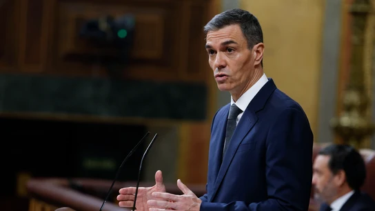 El presidente del Gobierno, Pedro Sánchez, durante su comparecencia ante el pleno del Congreso El presidente del Gobierno, Pedro Sánchez, durante su comparecencia ante el pleno del Congreso