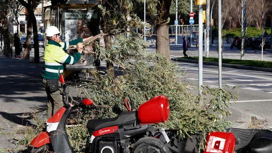 Vista de varias motos y ramas tumbadas por el viento en el centro de Barcelona cuando Cataluña afronta una jornada de vientos huracanados Vista de varias motos y ramas tumbadas por el viento en el centro de Barcelona cuando Cataluña afronta una jornada de vientos huracanados