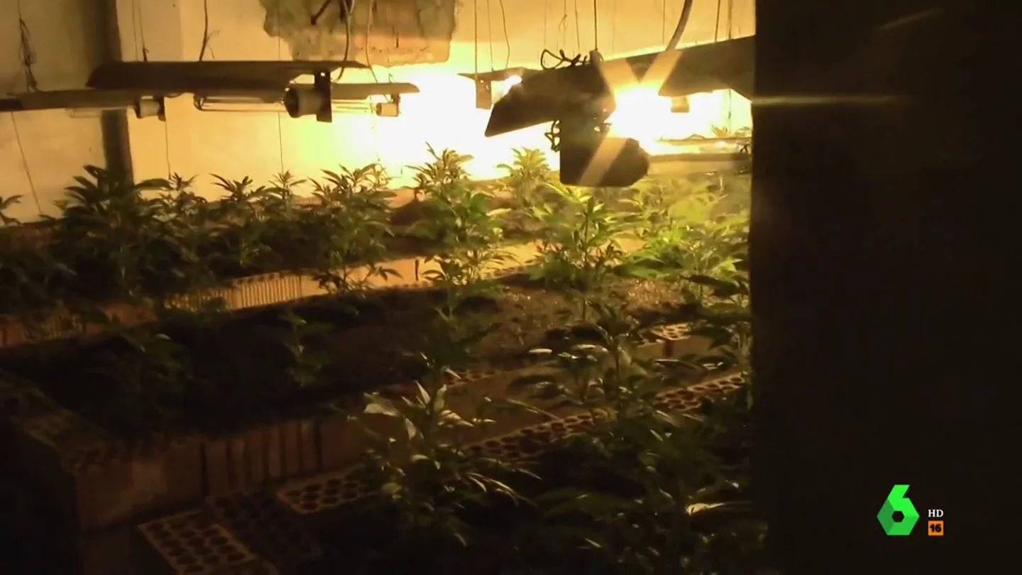 Lo que encontró la Guardia Civil en la casa de 'El Patrón' Lo que encontró la Guardia Civil en la casa de 'El Patrón'