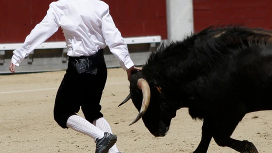 Un toro, en una plaza Un toro, en una plaza