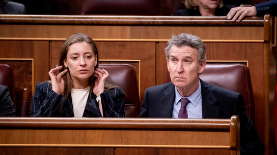 La portavoz del PP en el Congreso, Ester Muñoz y el presidente del Partido Popular, Alberto Núñez Feijóo, durante un pleno en el Congreso de los Diputados La portavoz del PP en el Congreso, Ester Muñoz y el presidente del Partido Popular, Alberto Núñez Feijóo, durante un pleno en el Congreso de los Diputados