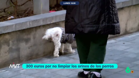 Así son las nuevas multas para castigar los comportamientos incívicos en Barcelona Así son las nuevas multas para castigar los comportamientos incívicos en Barcelona