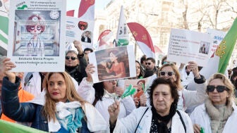 Vista de la manifestaci&oacute;n de m&eacute;dicos del s&aacute;bado 14 de febrero/ EFE/ Sergio P&eacute;rez