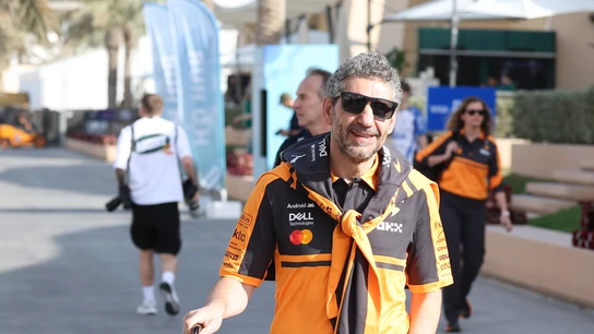 Andrea Stella Andrea Stella