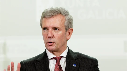 El presidente de la Xunta, Alfonso Rueda El presidente de la Xunta, Alfonso Rueda