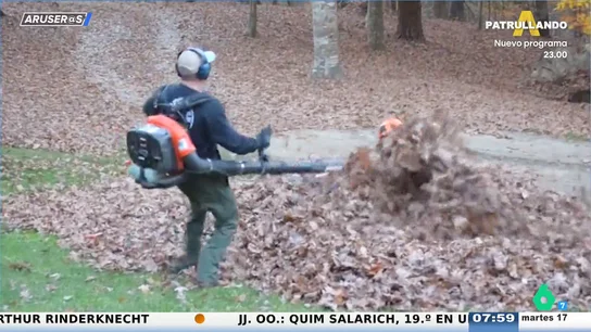 El divertido vídeo viral de los niños que asustan a su padre escondidos bajo un montón de hojas El divertido vídeo viral de los niños que asustan a su padre escondidos bajo un montón de hojas