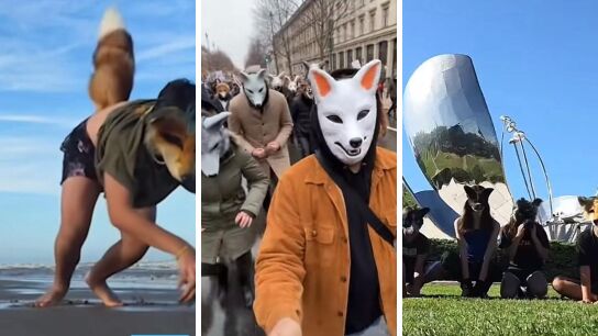 'Frames' de varios v&iacute;deos de 'therians' en redes sociales