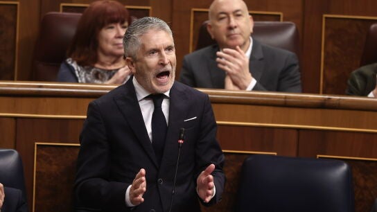 El ministro del Interior, Fernando Grande-Marlaska, interviene durante una sesi&oacute;n de control al Gobierno, en el Congreso de los Diputados