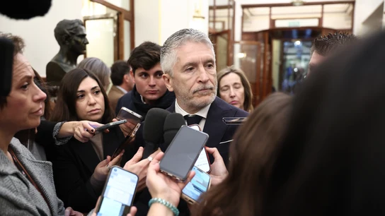 El ministro del Interior, Fernando Grande-Marlaska, atiende a los medios a su llegada a una sesión de control al Gobierno El ministro del Interior, Fernando Grande-Marlaska, atiende a los medios a su llegada a una sesión de control al Gobierno