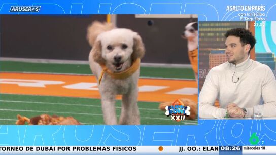 Alfonso Ar&uacute;s desvela lo que Hans estuvo a punto de hacer en un evento del RCD Espanyol: "Poco m&aacute;s y se lleva tres perros"