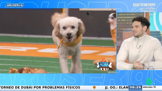 Alfonso Arús desvela lo que Hans estuvo a punto de hacer en un evento del RCD Espanyol: "Poco más y se lleva tres perros" Alfonso Arús desvela lo que Hans estuvo a punto de hacer en un evento del RCD Espanyol: "Poco más y se lleva tres perros"