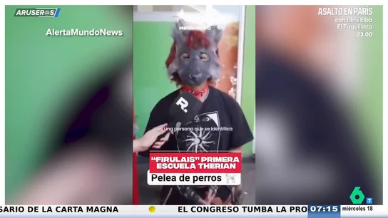 Abre en Argentina la primera escuela para 'therians' y la llaman 'Firulais': "Yo empecé estudiando 'zorrería' y acabé en 'tortuguismo'" Abre en Argentina la primera escuela para 'therians' y la llaman 'Firulais': "Yo empecé estudiando 'zorrería' y acabé en 'tortuguismo'"