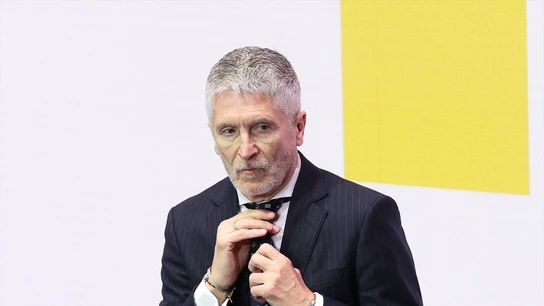 El ministro del Interior, Fernando Grande-Marlaska. El ministro del Interior, Fernando Grande-Marlaska.