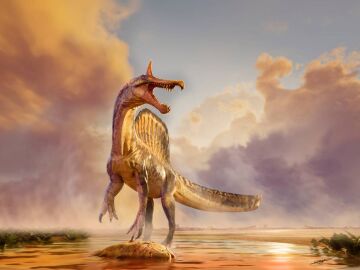 Representaci&oacute;n art&iacute;stica del Spinosaurus mirabilis