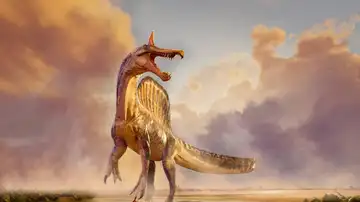 Representación artística del Spinosaurus mirabilis Representación artística del Spinosaurus mirabilis