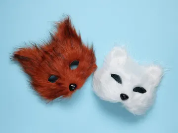 Máscara de zorro y gato Máscara de zorro y gato