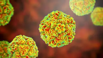 Enterovirus Enterovirus