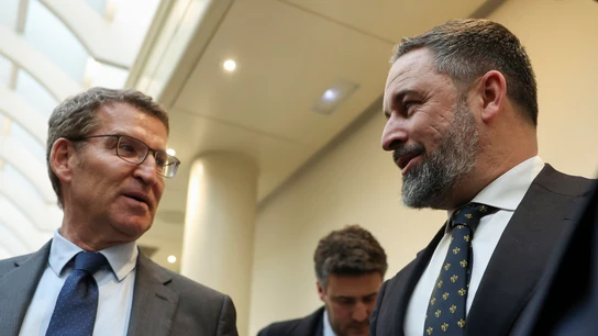 Foto de archivo del líder del PP, Alberto Núñez Feijóo (i), y el de Vox, Santiago Abascal (d), en el Senado. Foto de archivo del líder del PP, Alberto Núñez Feijóo (i), y el de Vox, Santiago Abascal (d), en el Senado.EFE/ Kiko Huesca