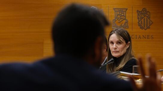 La presidenta de la Asociaci&oacute;n de V&iacute;ctimas Mortales de la DANA 29-O, Rosa &Aacute;lvarez, comparece ante la comisi&oacute;n de investigaci&oacute;n de la DANA
