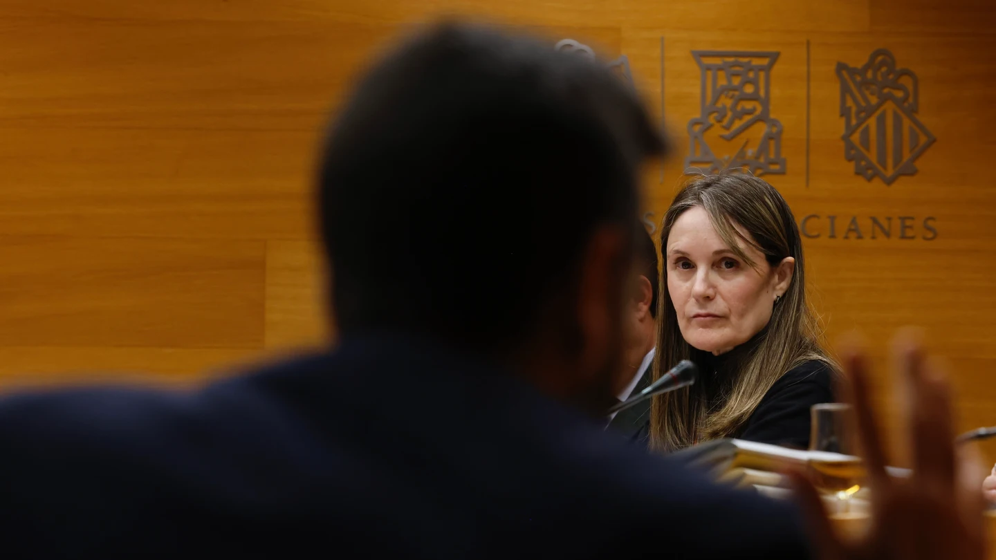 La presidenta de la Asociación de Víctimas Mortales de la DANA 29-O, Rosa Álvarez, comparece ante la comisión de investigación de la DANA La presidenta de la Asociación de Víctimas Mortales de la DANA 29-O, Rosa Álvarez, comparece ante la comisión de investigación de la DANA
