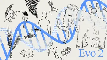 Ilustración del nuevo modelo genético Evo2 Ilustración del nuevo modelo genético Evo2