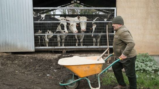 Ganaderos y agricultores en Trabada, a 27 de noviembre de 2025, en Trabada, Lugo, Galicia (Espa&ntilde;a).