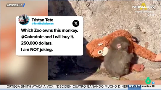 Dos influencers ofrecen 200.000 euros para comprar al mono Punch: "¿Para qué lo quieren? ¿Para tener visualizaciones?" Dos influencers ofrecen 200.000 euros para comprar al mono Punch: "¿Para qué lo quieren? ¿Para tener visualizaciones?"