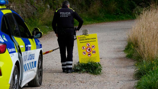 Agentes de la Guardia Urbana colocan carteles informando del cierre del acceso al Parque de Collserola tras el brote de peste porcina en jabal&iacute;es.