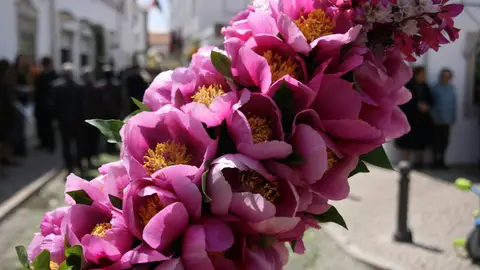 Antorcha florida Antorcha florida