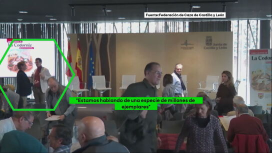 Un miembro de la Federación de Caza compara la caza de la codorniz con los chinos: "¿Es relevante? Es que hay dos mil millones"
