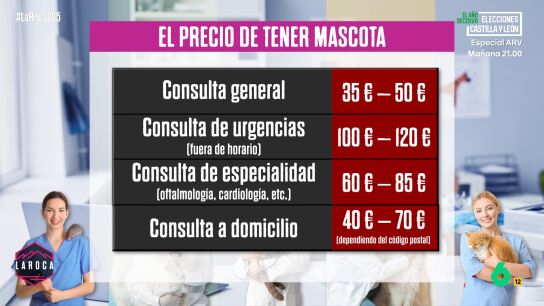 LAROCA MascotasCaras