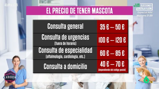 LAROCA MascotasCaras LAROCA MascotasCaras