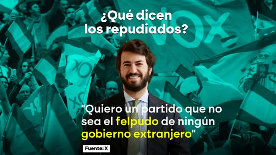 Juan García-Gallardo, contra Vox Juan García-Gallardo, contra Vox