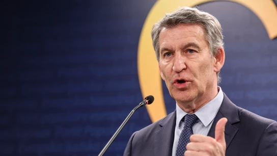 El líder del Partido Popular, Alberto Núñez Feijóo, da una rueda de prensa en Bruselas El líder del Partido Popular, Alberto Núñez Feijóo, da una rueda de prensa en Bruselas