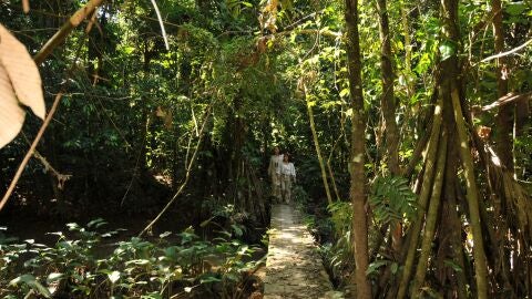 Madre de Dios, en la Amazonía Peruana