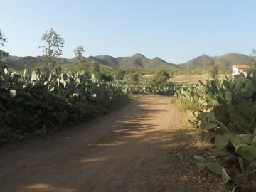 Senderos en Cabo de Gata