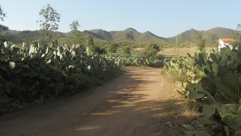 Senderos en Cabo de Gata Senderos en Cabo de Gata
